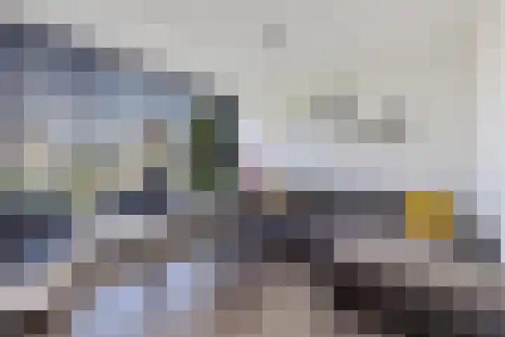 Tollewei 27 Heeg thumbnail 15