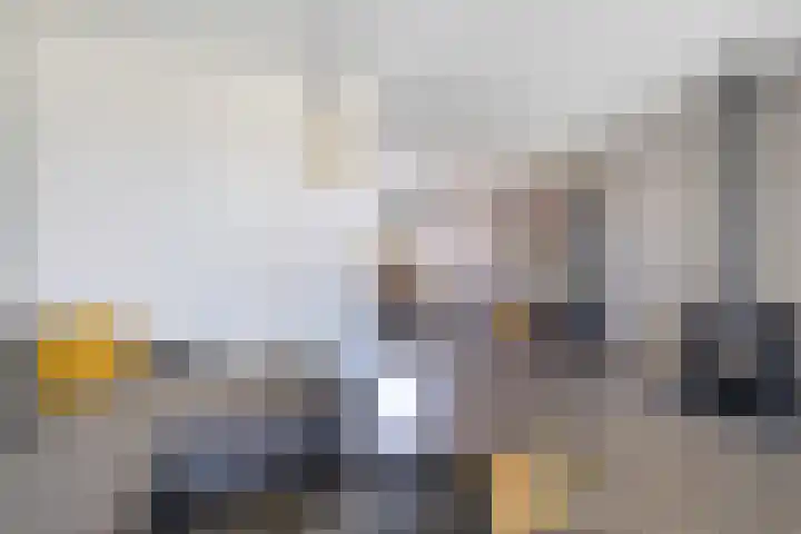 Tollewei 27 Heeg thumbnail 17