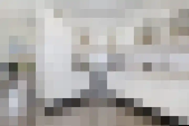 Tollewei 27 Heeg thumbnail 20