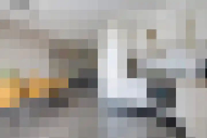 Tollewei 27 Heeg thumbnail 21
