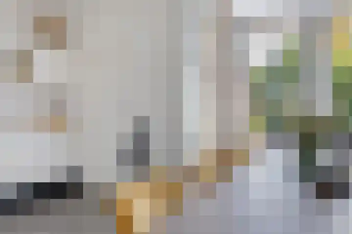 Tollewei 27 Heeg thumbnail 22