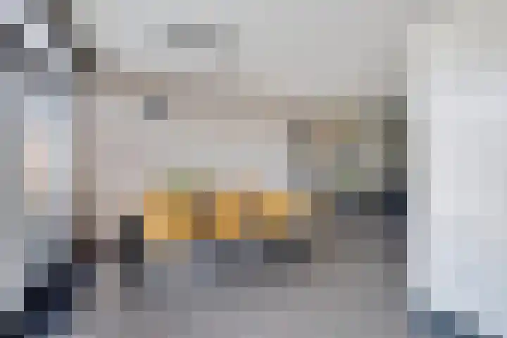 Tollewei 27 Heeg thumbnail 23