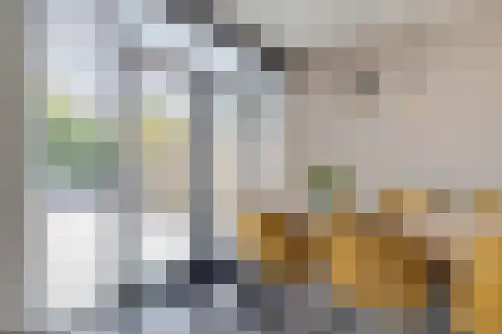 Tollewei 27 Heeg thumbnail 24