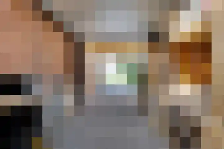 Tollewei 27 Heeg thumbnail 27