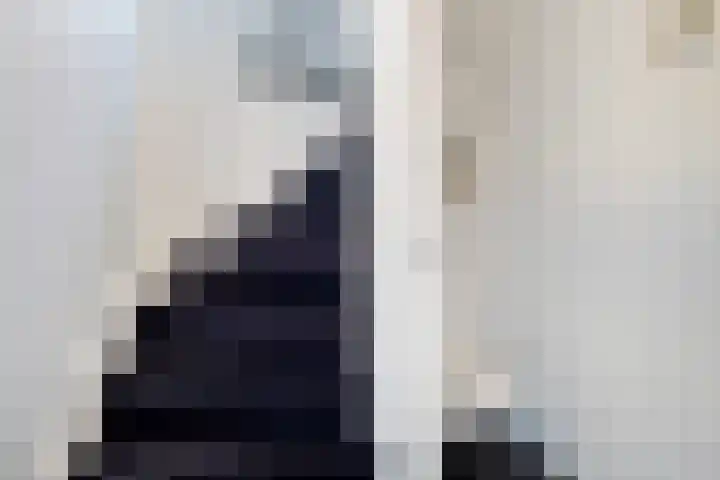 Tollewei 27 Heeg thumbnail 28