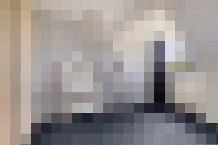 Tollewei 27 Heeg thumbnail 30