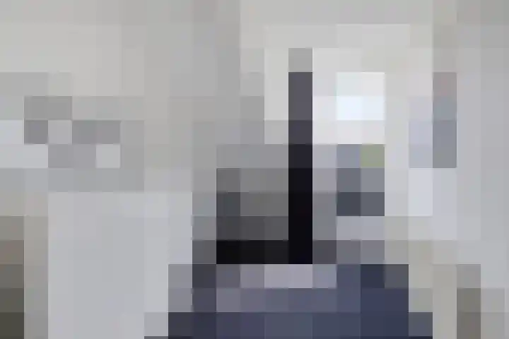 Tollewei 27 Heeg thumbnail 37
