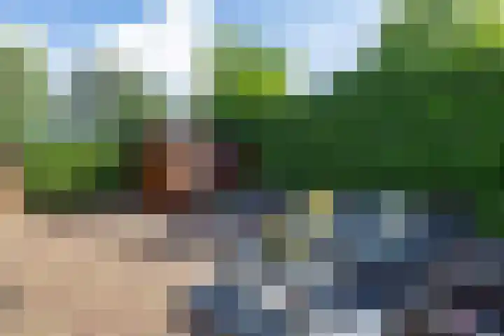 Tollewei 27 Heeg thumbnail 39