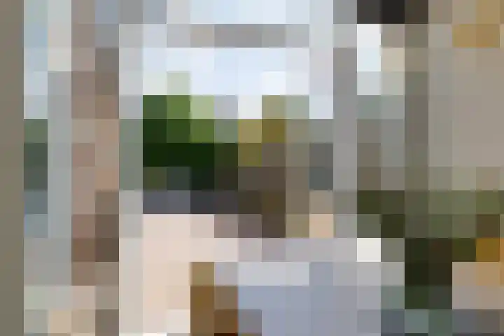 Tollewei 27 Heeg thumbnail 4
