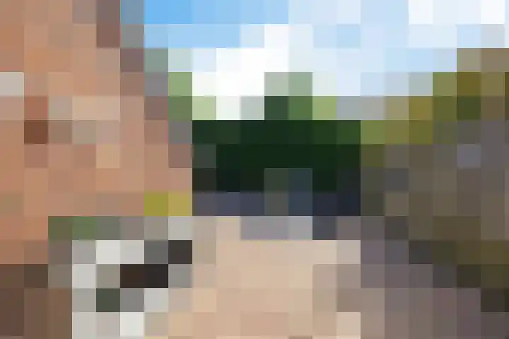 Tollewei 27 Heeg thumbnail 42