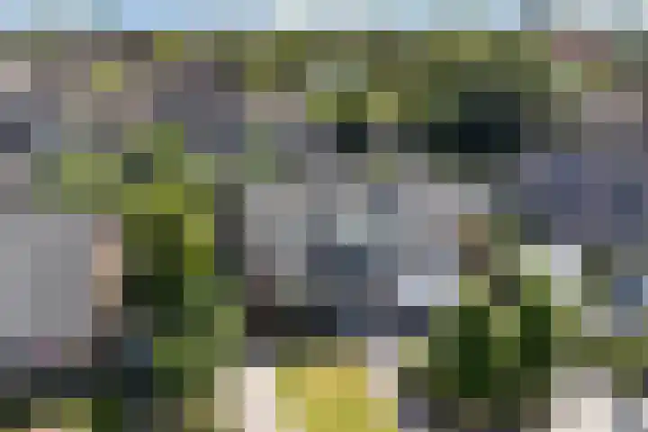 Tollewei 27 Heeg thumbnail 43