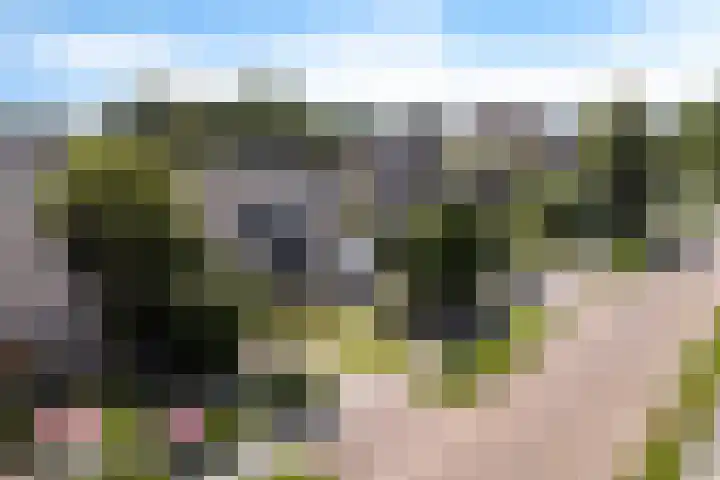 Tollewei 27 Heeg thumbnail 44