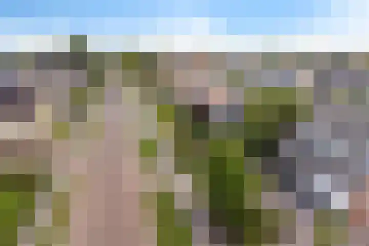 Tollewei 27 Heeg thumbnail 45