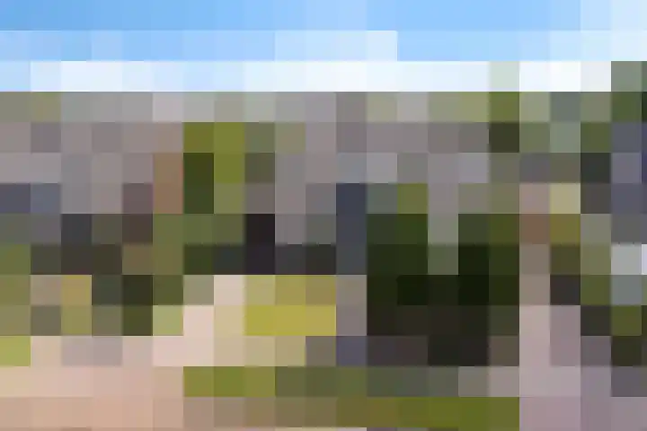 Tollewei 27 Heeg thumbnail 6