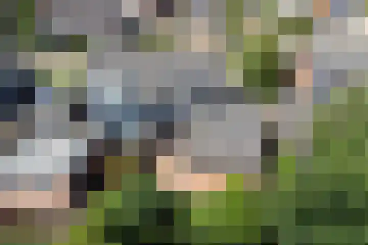 Tollewei 27 Heeg thumbnail 7