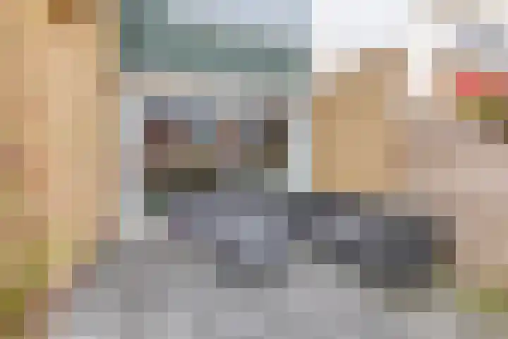 Tollewei 46 Heeg thumbnail 29