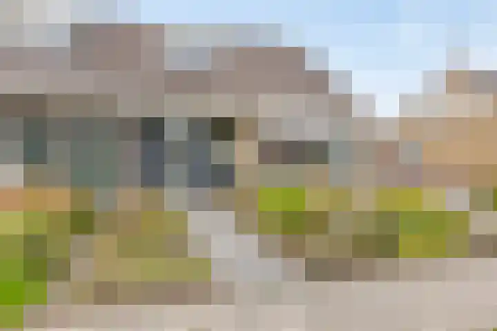 Tollewei 46 Heeg thumbnail 38