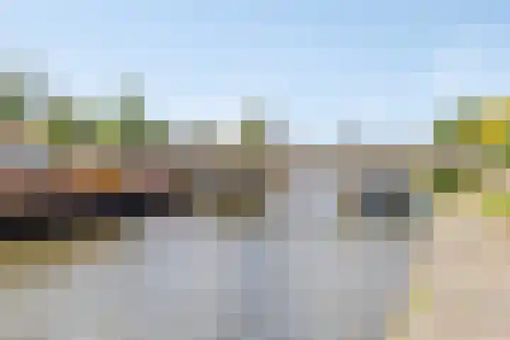 Tollewei 46 Heeg thumbnail 43