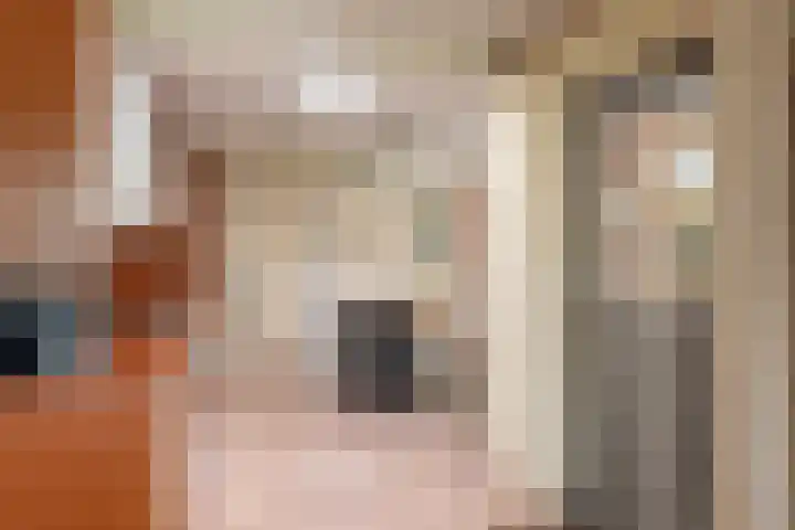 Tolnegenweg 19 Stroe thumbnail 17