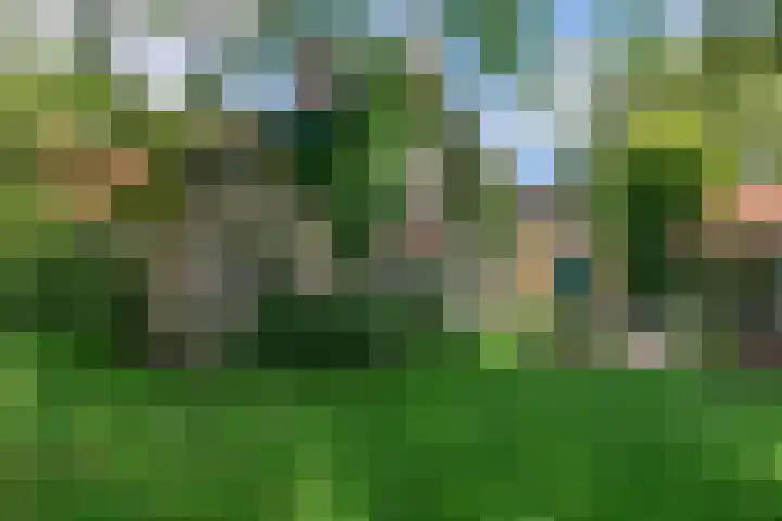 Tolnegenweg 19 Stroe thumbnail 46