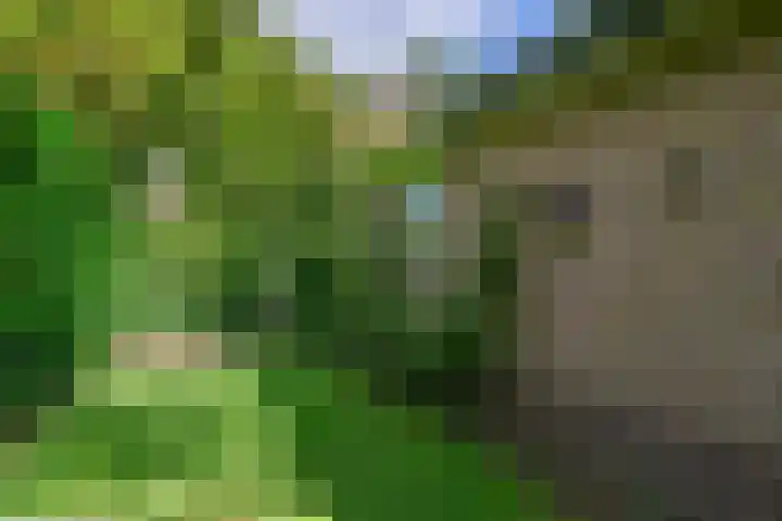 Tolnegenweg 19 Stroe thumbnail 47
