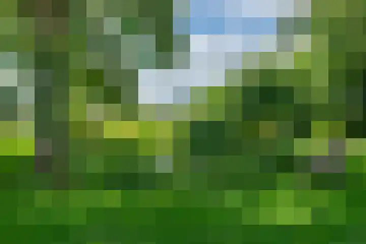 Tolnegenweg 19 Stroe thumbnail 49
