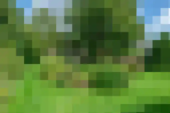 Tolnegenweg 19 Stroe thumbnail 50