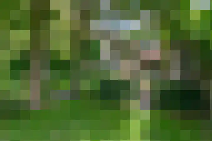 Tolnegenweg 19 Stroe thumbnail 51