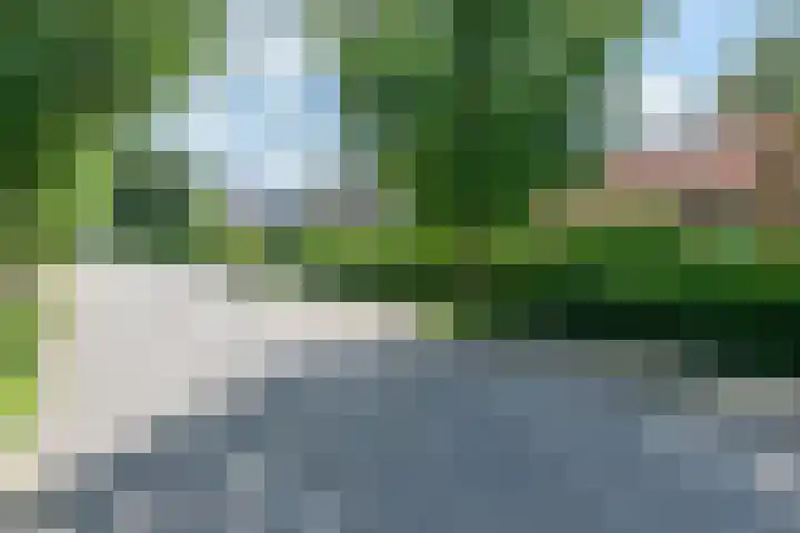 Tolnegenweg 19 Stroe thumbnail 58