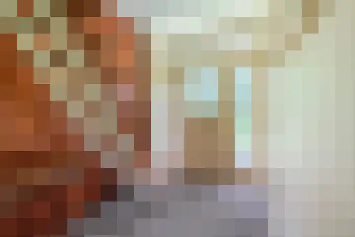 Tolnegenweg 19 Stroe thumbnail 8