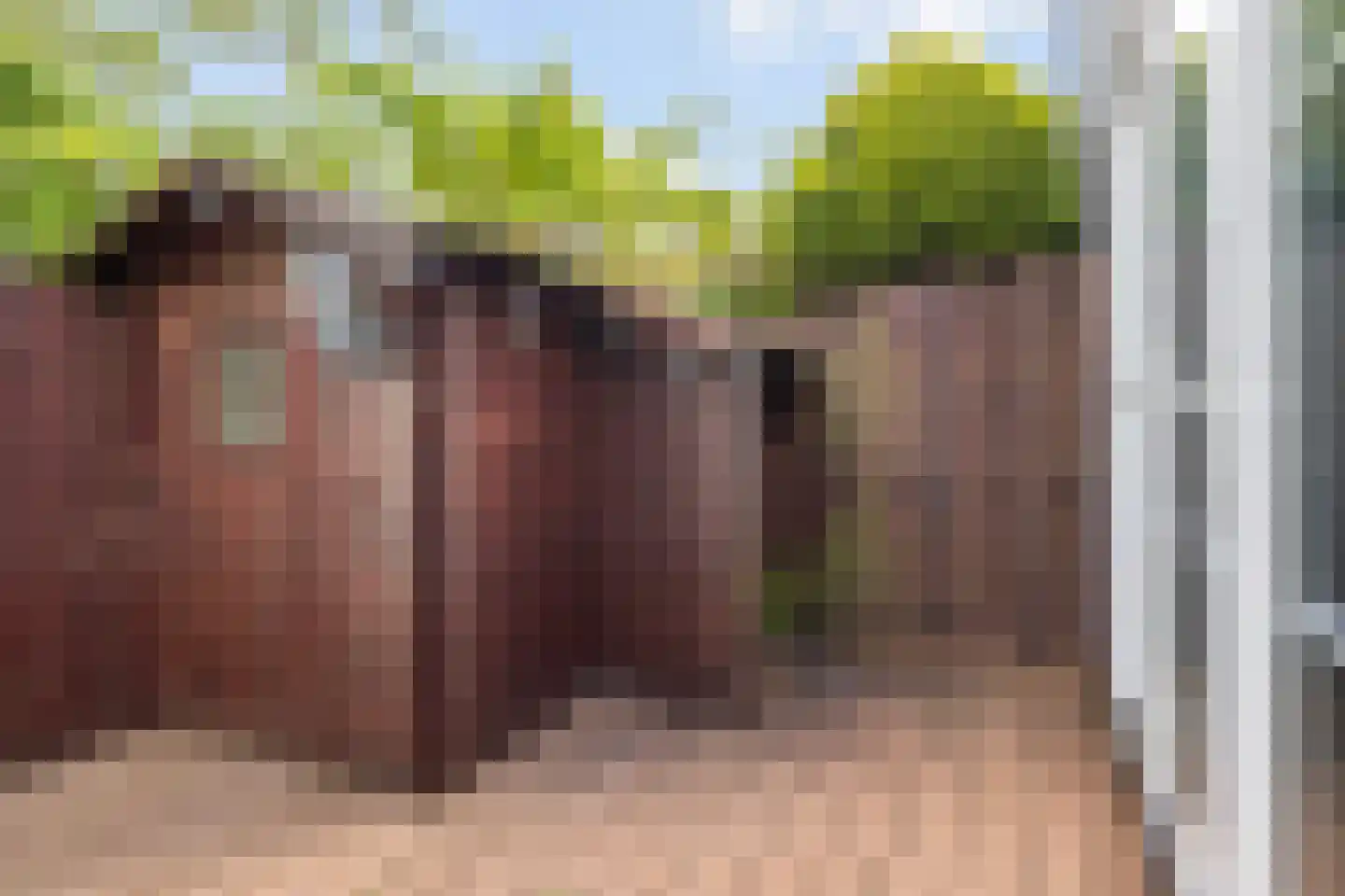 Toloysenstraat 4 Dordrecht thumbnail 31