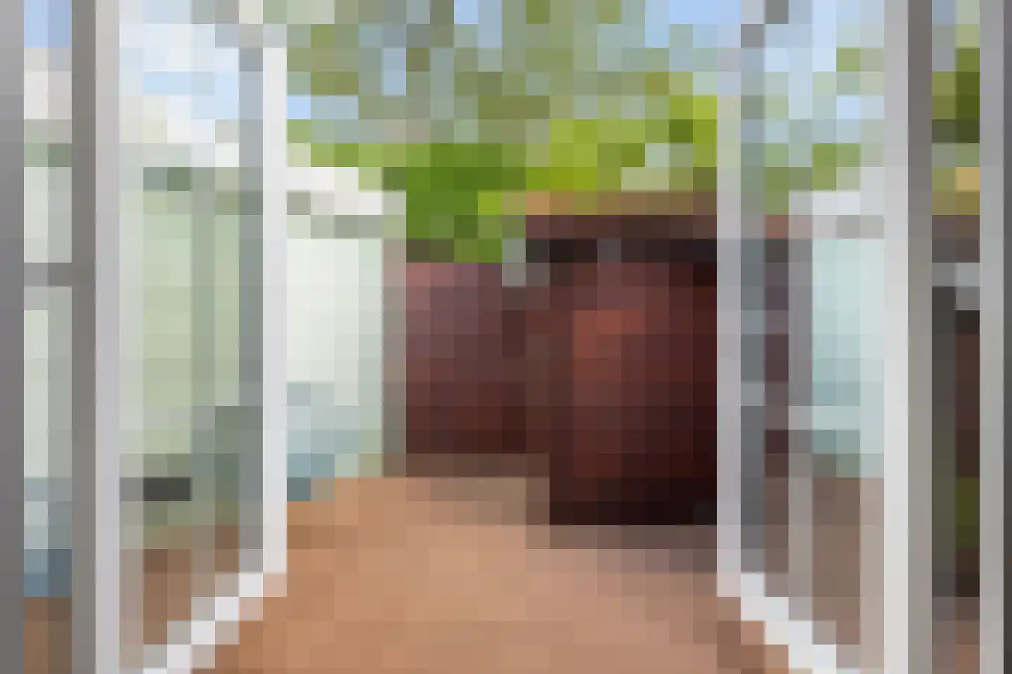 Toloysenstraat 4 Dordrecht thumbnail 4