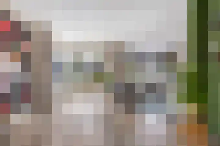 Tolschestraat 11 a Velp thumbnail 10