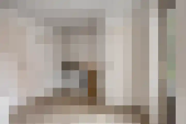 Tolschestraat 11 a Velp thumbnail 12