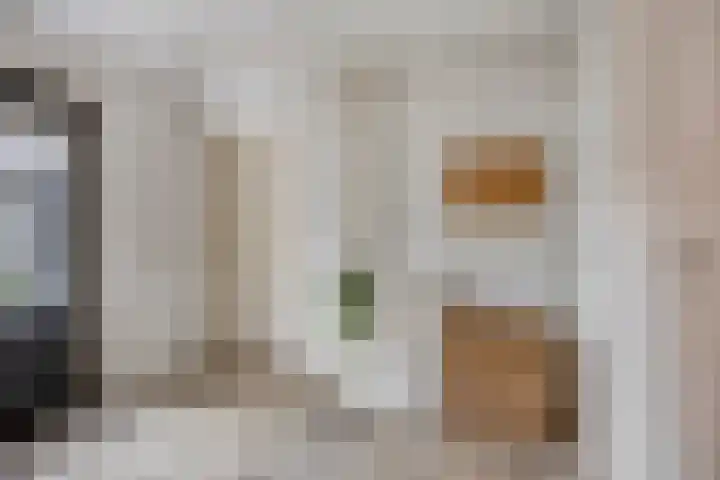 Tolschestraat 11 a Velp thumbnail 13
