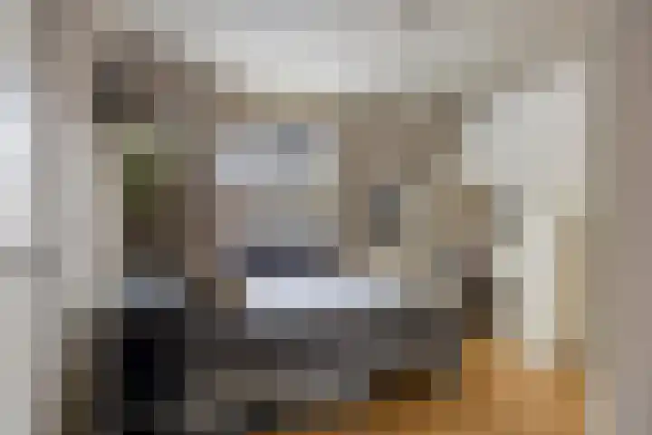 Tolschestraat 11 a Velp thumbnail 19