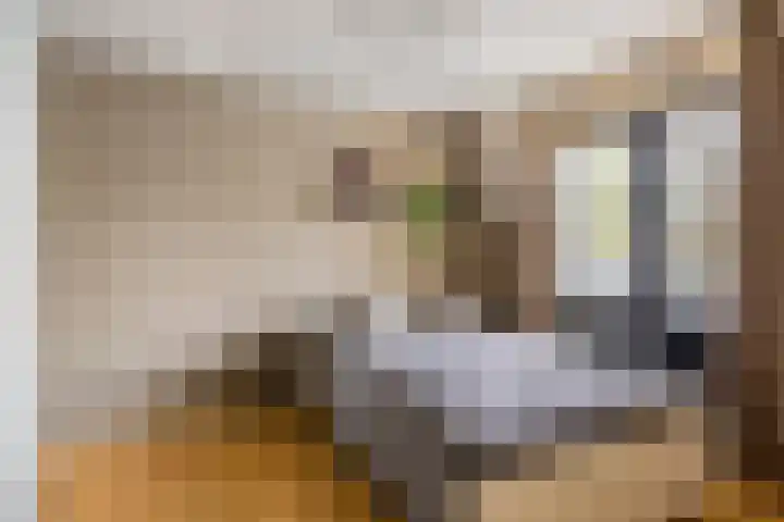 Tolschestraat 11 a Velp thumbnail 20
