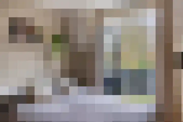 Tolschestraat 11 a Velp thumbnail 21