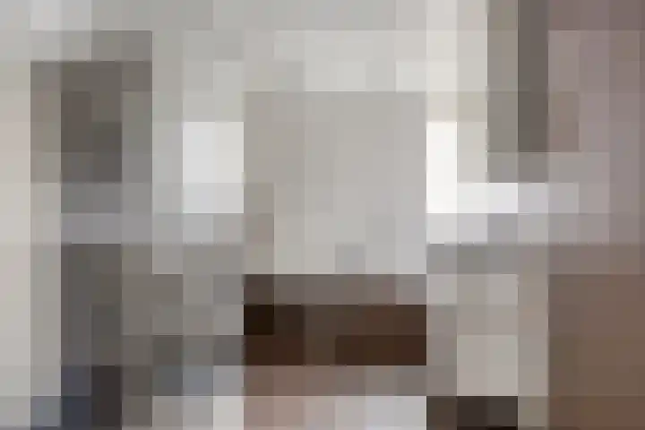 Tolschestraat 11 a Velp thumbnail 23