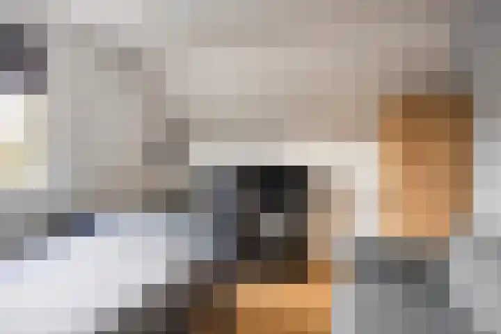 Tolschestraat 11 a Velp thumbnail 26