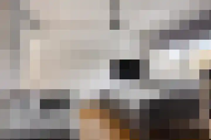 Tolschestraat 11 a Velp thumbnail 27