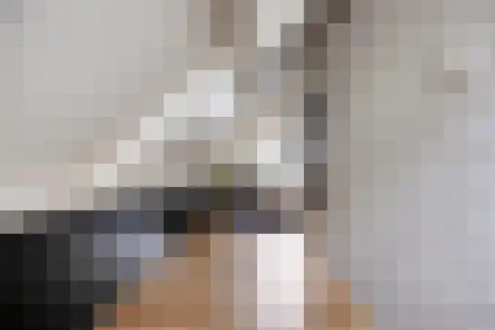 Tolschestraat 11 a Velp thumbnail 28