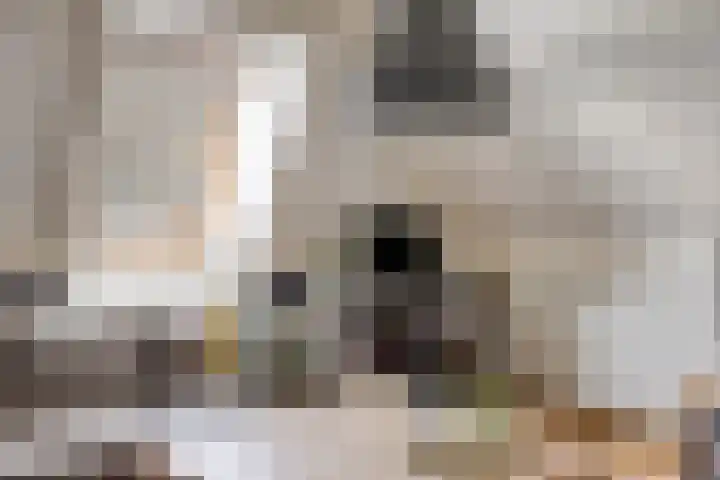 Tolschestraat 11 a Velp thumbnail 30