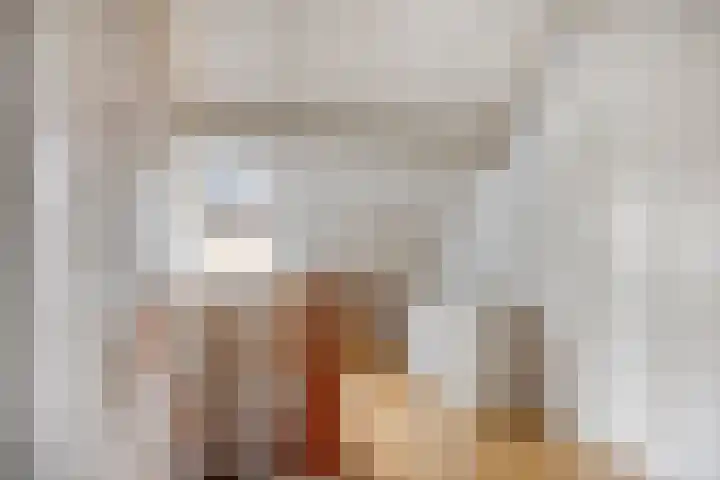 Tolschestraat 11 a Velp thumbnail 31