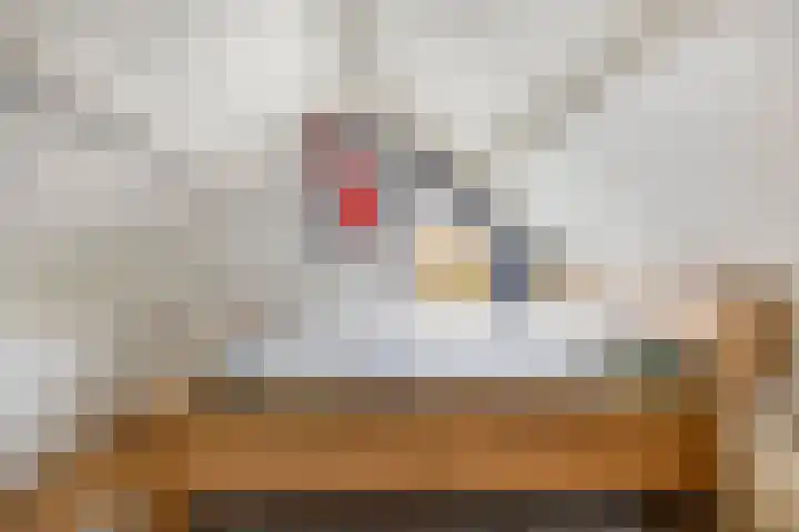Tolschestraat 11 a Velp thumbnail 32