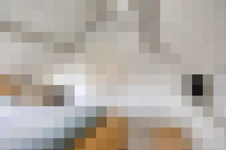 Tolschestraat 11 a Velp thumbnail 34