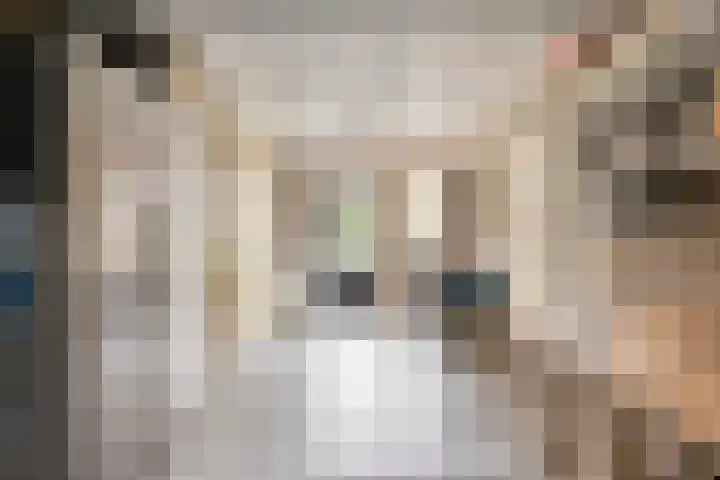 Tolschestraat 11 a Velp thumbnail 37