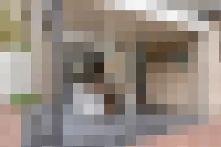 Tolschestraat 11 a Velp thumbnail 38