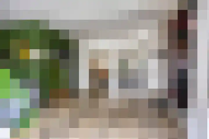 Tolschestraat 11 a Velp thumbnail 4