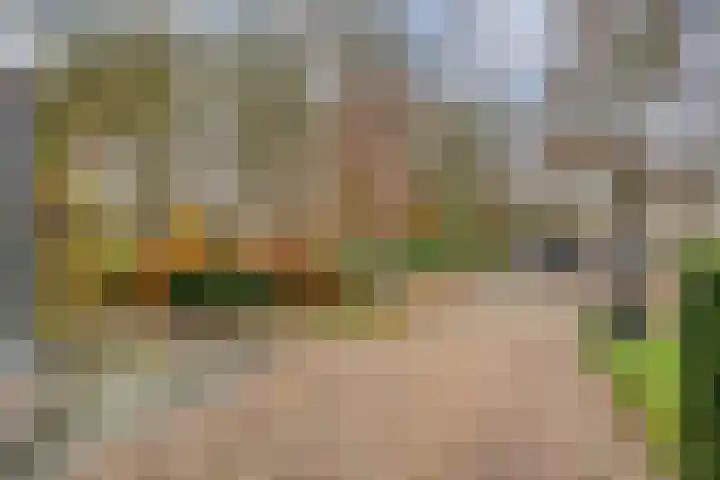 Tolschestraat 11 a Velp thumbnail 45